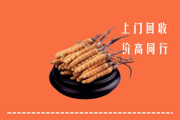 收购行情：钟山区冬虫夏草回收多少钱每克
