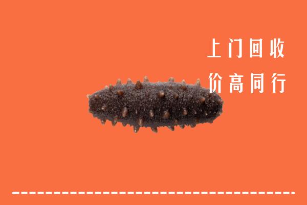 收购行情：钟山区回收海参